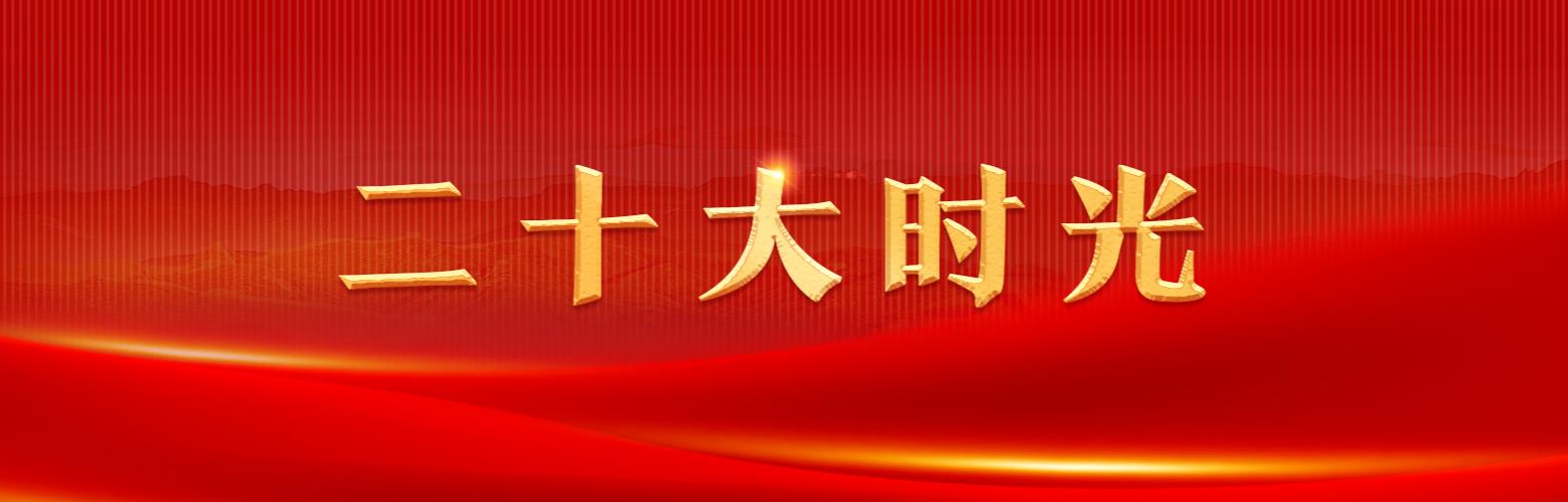 二十大时光